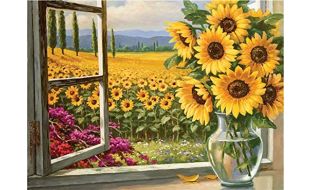 Painting By Numbers Harvest Time