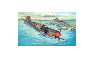 Trumpeter 1/32 Scale P-40M Kittyhawk Model Kit