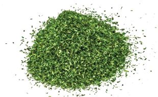 Hornby Scatter - Dark Green OO Gauge