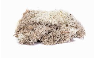 Hornby Lichen - Stone Grey OO Gauge