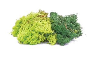 Hornby Lichen - Green Mix OO Gauge