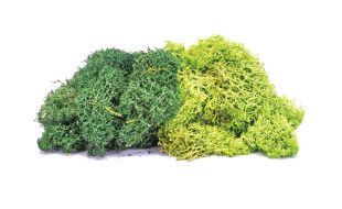 Hornby Lichen - Large Green Mix OO Gauge