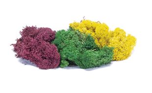 Hornby Lichen - Large Autumn Mix OO Gauge
