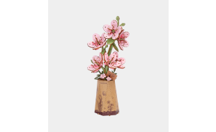 Rowood Sakura Wooden Model Kit
