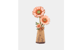 Rowood Light Orange Gerbera Daisy Wooden Model Kit