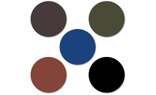 Starter Paint Pack for Gloster Gladiator MK.I Model Kit (5 x 17ml Bottles)