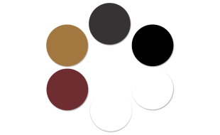 Paint Pack for Caldercraft HM Brig Supply Kit (6 x 18ml Bottles)